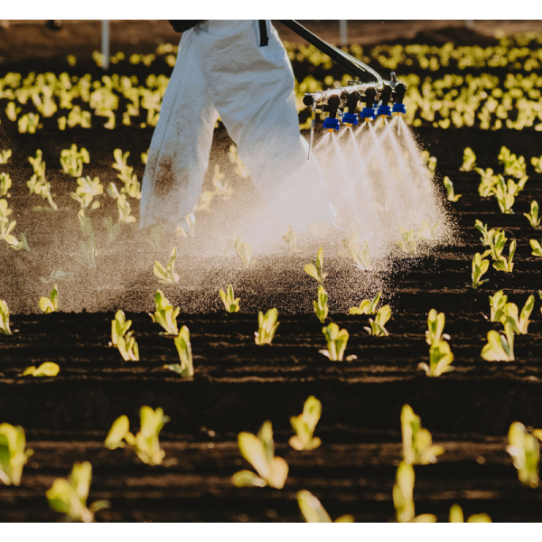 Jacana + High Pressure Air Kit